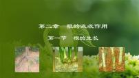 初中生物冀少版八年级上册第一节  根的生长评课ppt课件