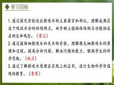 3.2.2  根对水分的吸收（课件）-2024-2025学年八年级冀少版生物上册
