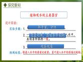 3.2.2  根对水分的吸收（课件）-2024-2025学年八年级冀少版生物上册
