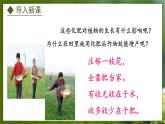 3.2.3  无机盐与植物的生长（课件）-2024-2025学年八年级冀少版生物上册