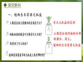 3.2.3  无机盐与植物的生长（课件）-2024-2025学年八年级冀少版生物上册