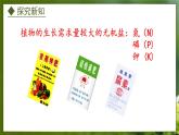 3.2.3  无机盐与植物的生长（课件）-2024-2025学年八年级冀少版生物上册