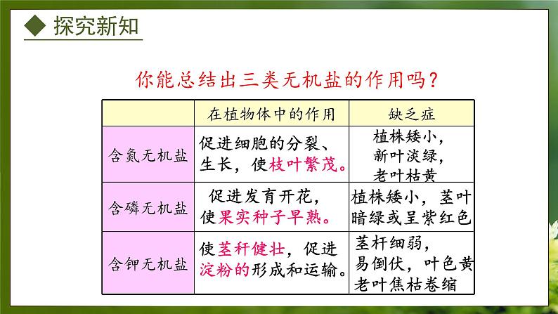 3.2.3  无机盐与植物的生长（课件）-2024-2025学年八年级冀少版生物上册08