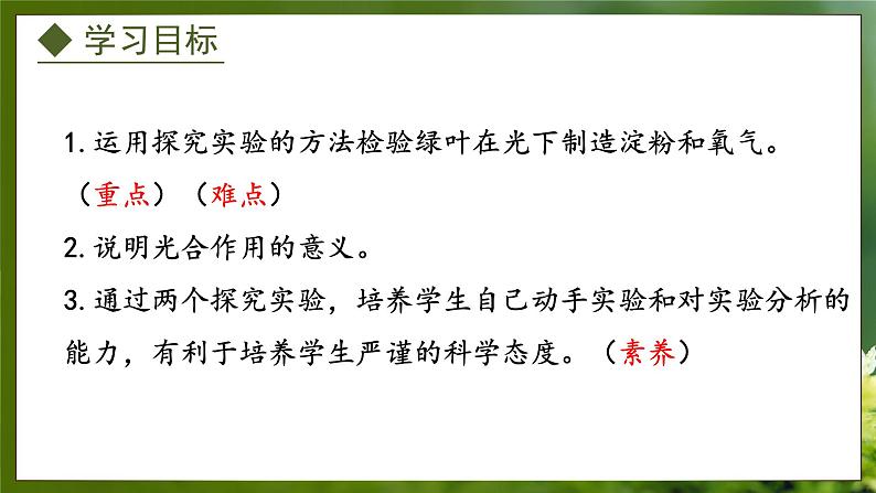 3.3.1  光合作用的产物（课件）-2024-2025学年八年级冀少版生物上册02