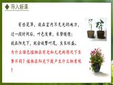 3.3.1  光合作用的产物（课件）-2024-2025学年八年级冀少版生物上册