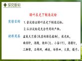 3.3.1  光合作用的产物（课件）-2024-2025学年八年级冀少版生物上册