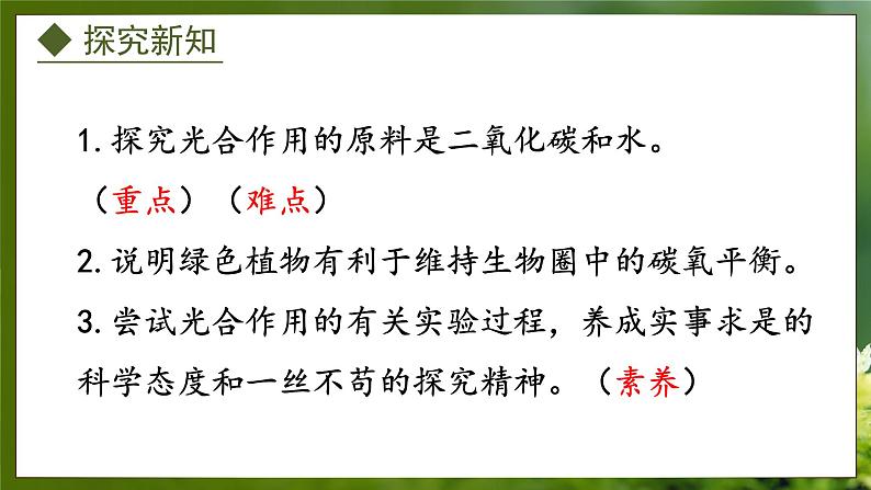 3.3.2  光合作用的原料（课件）-2024-2025学年八年级冀少版生物上册02