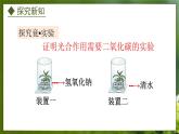 3.3.2  光合作用的原料（课件）-2024-2025学年八年级冀少版生物上册