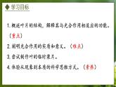 3.3.3  光合作用的场所（课件）-2024-2025学年八年级冀少版生物上册