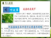 3.3.3  光合作用的场所（课件）-2024-2025学年八年级冀少版生物上册
