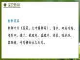 3.3.3  光合作用的场所（课件）-2024-2025学年八年级冀少版生物上册
