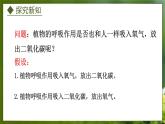 3.4.1  呼吸作用（课件）-2024-2025学年八年级冀少版生物上册