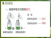3.4.1  呼吸作用（课件）-2024-2025学年八年级冀少版生物上册
