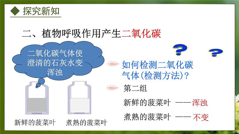 3.4.1  呼吸作用（课件）-2024-2025学年八年级冀少版生物上册05