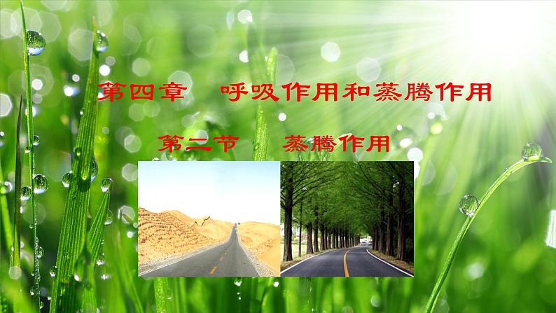 3.4.2  蒸腾作用（课件）-2024-2025学年八年级冀少版生物上册01