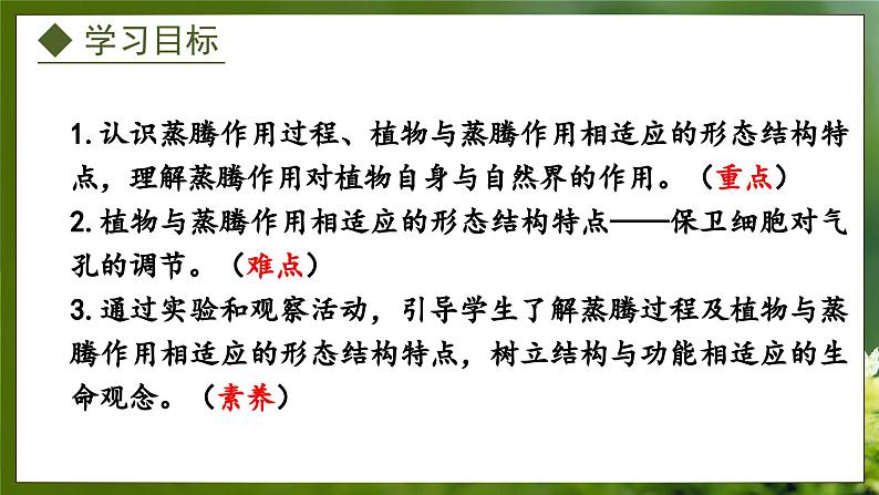 3.4.2  蒸腾作用（课件）-2024-2025学年八年级冀少版生物上册02