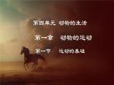 4.1.1  运动的基础（课件）-2024-2025学年八年级冀少版生物上册