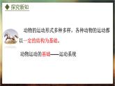 4.1.1  运动的基础（课件）-2024-2025学年八年级冀少版生物上册