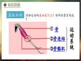 4.1.2  运动的完成（课件）-2024-2025学年八年级冀少版生物上册