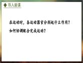 4.1.2  运动的完成（课件）-2024-2025学年八年级冀少版生物上册
