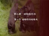 4.2.1  动物行为的特点（课件）-2024-2025学年八年级冀少版生物上册
