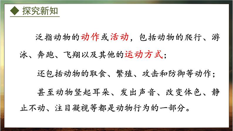 4.2.1  动物行为的特点（课件）-2024-2025学年八年级冀少版生物上册05