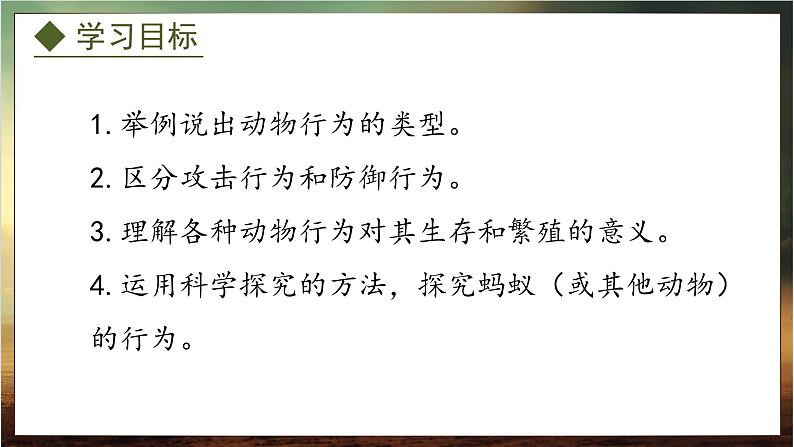 4.2.2  动物行为的类型（课件）-2024-2025学年八年级冀少版生物上册02