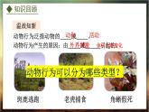 4.2.2  动物行为的类型（课件）-2024-2025学年八年级冀少版生物上册