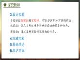 4.2.2  动物行为的类型（课件）-2024-2025学年八年级冀少版生物上册