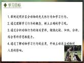 4.2.3  先天性行为和学习行为（课件）-2024-2025学年八年级冀少版生物上册