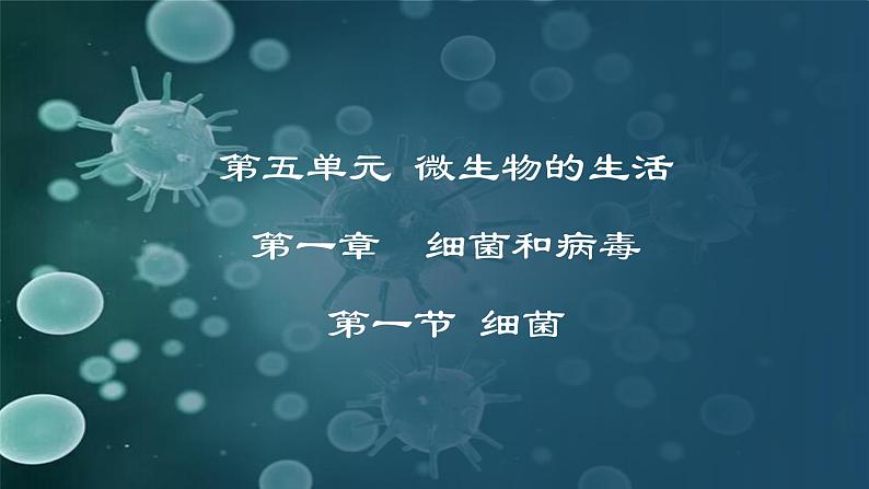 5.1.1  细菌（课件）-2024-2025学年八年级冀少版生物上册01