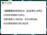 5.1.1  细菌（课件）-2024-2025学年八年级冀少版生物上册