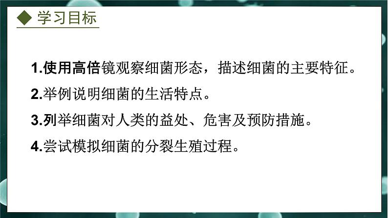 5.1.1  细菌（课件）-2024-2025学年八年级冀少版生物上册02