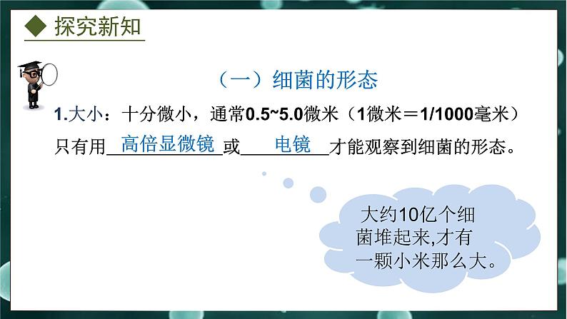 5.1.1  细菌（课件）-2024-2025学年八年级冀少版生物上册05