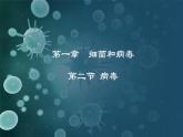 5.1.2  病毒（课件）-2024-2025学年八年级冀少版生物上册