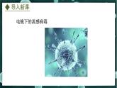 5.1.2  病毒（课件）-2024-2025学年八年级冀少版生物上册