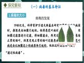 5.1.2  病毒（课件）-2024-2025学年八年级冀少版生物上册