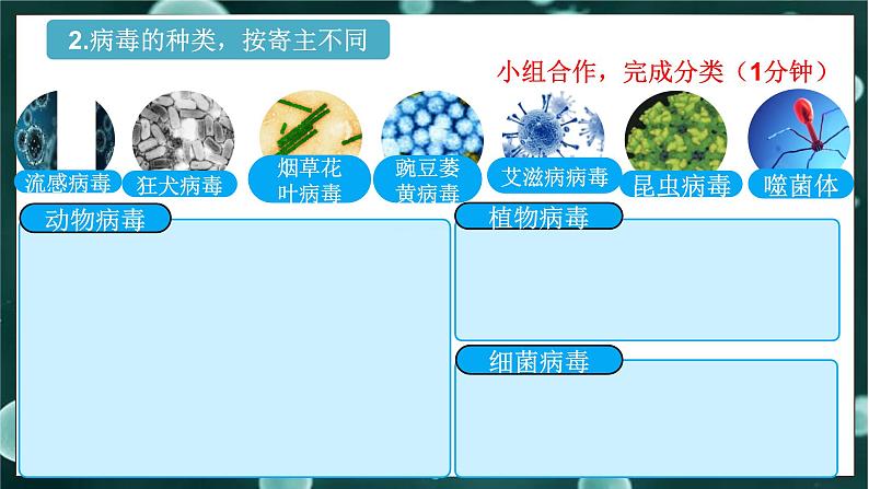 5.1.2  病毒（课件）-2024-2025学年八年级冀少版生物上册07