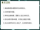 5.2.1  酵母菌和霉菌（课件）-2024-2025学年八年级冀少版生物上册