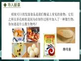 5.2.1  酵母菌和霉菌（课件）-2024-2025学年八年级冀少版生物上册