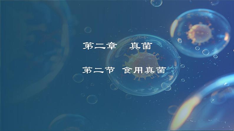 5.2.2  食用真菌（课件）-2024-2025学年八年级冀少版生物上册01