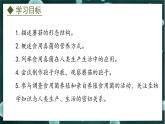 5.2.2  食用真菌（课件）-2024-2025学年八年级冀少版生物上册