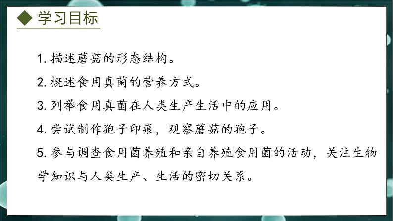 5.2.2  食用真菌（课件）-2024-2025学年八年级冀少版生物上册02