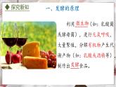 5.3.1  发酵食品的制作（课件）-2024-2025学年八年级冀少版生物上册