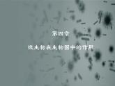 5.4  微生物在生物圈中的作用（课件）-2024-2025学年八年级冀少版生物上册
