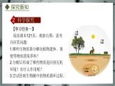 5.4  微生物在生物圈中的作用（课件）-2024-2025学年八年级冀少版生物上册