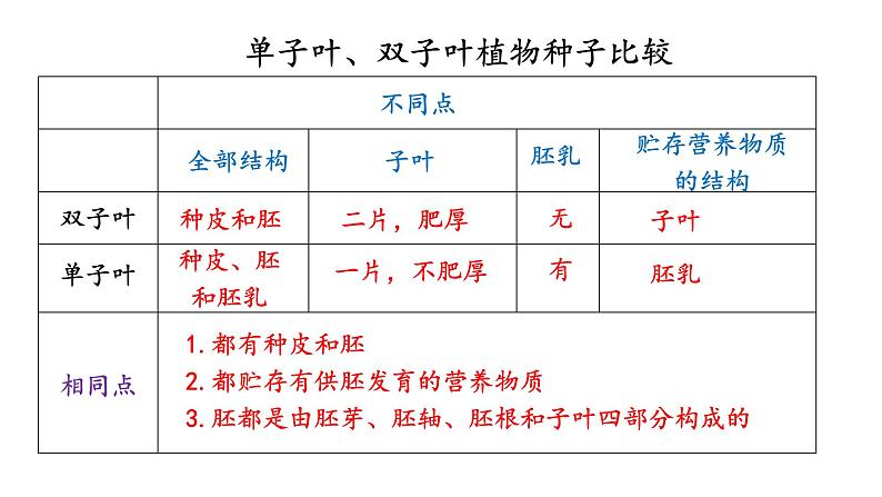 冀少版八年级生物上册课件 3.1.1  种子萌发的过程05