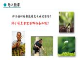 冀少版八年级生物上册课件 3.1.2  种子萌发的条件