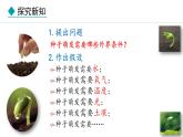 冀少版八年级生物上册课件 3.1.2  种子萌发的条件