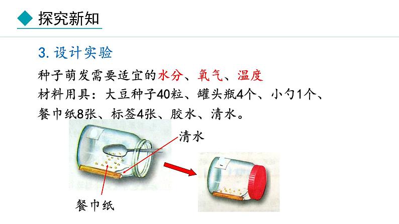 冀少版八年级生物上册课件 3.1.2  种子萌发的条件06